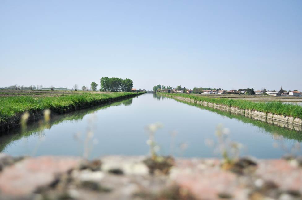 Dalle Alpi alle risaie: il viaggio dell’acqua tra monti e canali