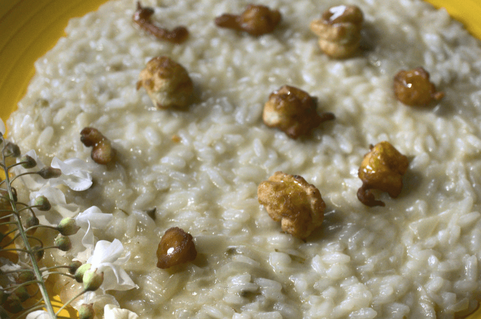 Risotto ai fiori di acacia, miele di acacia e pecorino