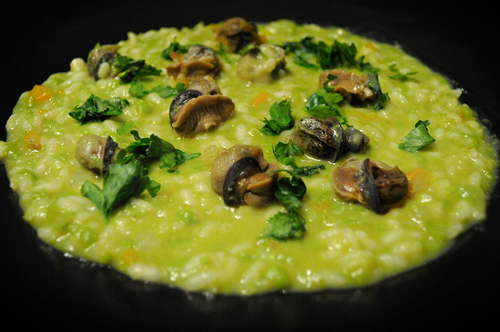 risotto